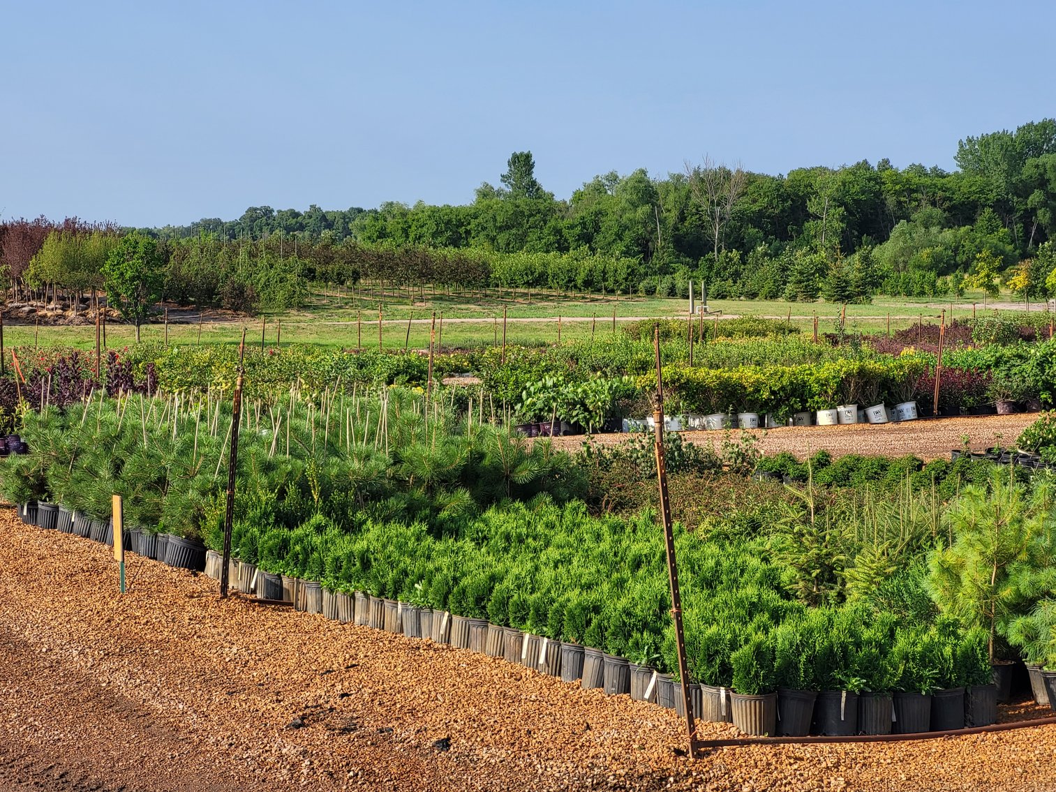 Image for Wilson's Nursery Fall 2023 Inventory Reduction