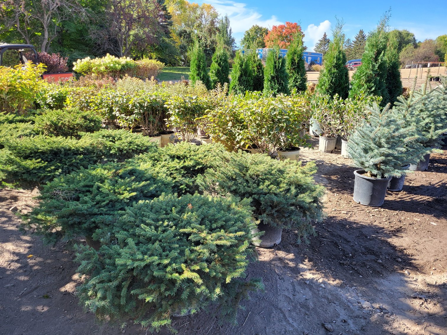 Image for Nursery Overstock October 2024