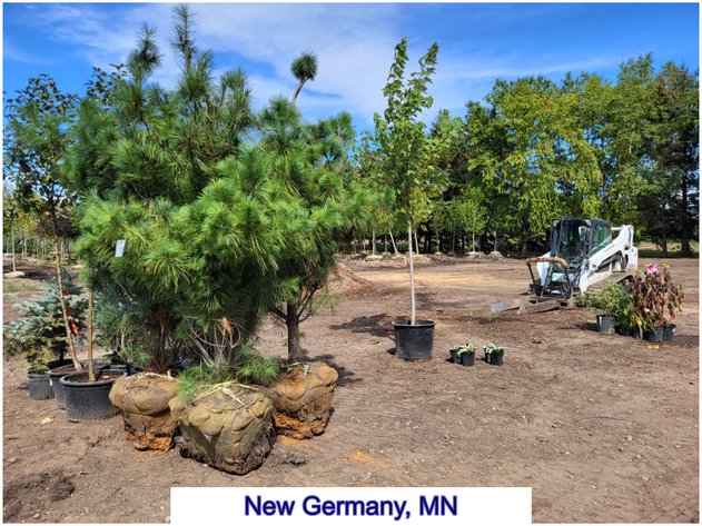 Image for Nursery Overstock September 2026