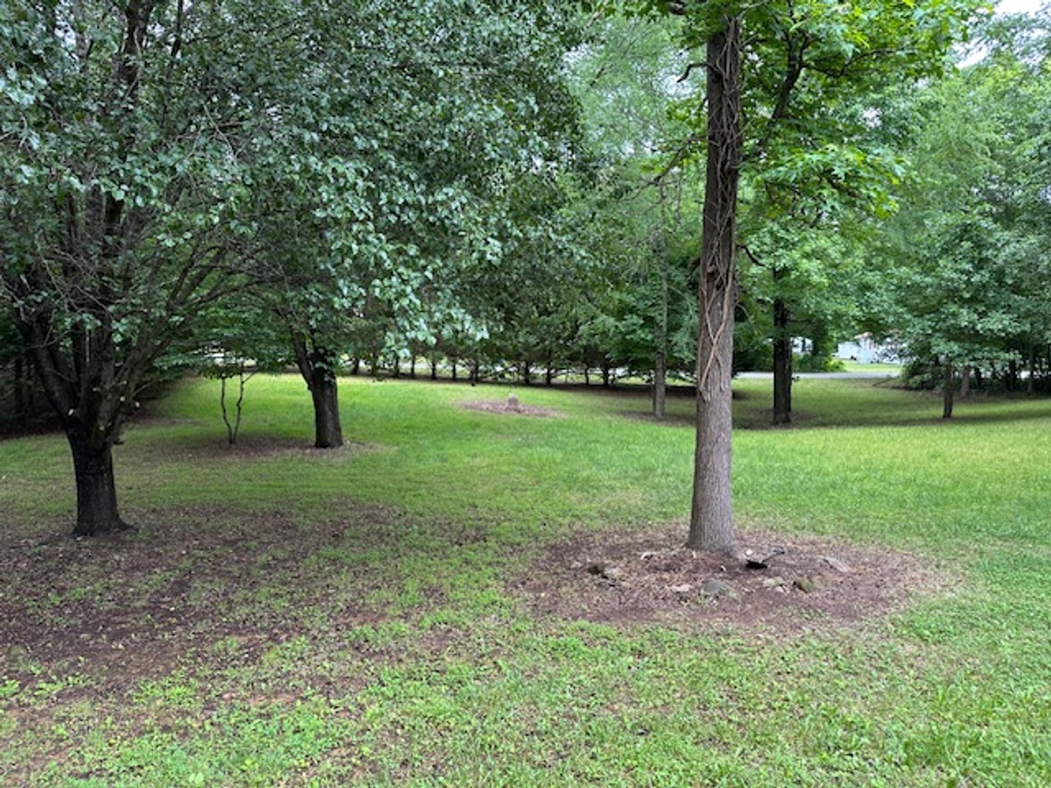 Image for 318 Saddlebrook Drive, Summerfield, NC