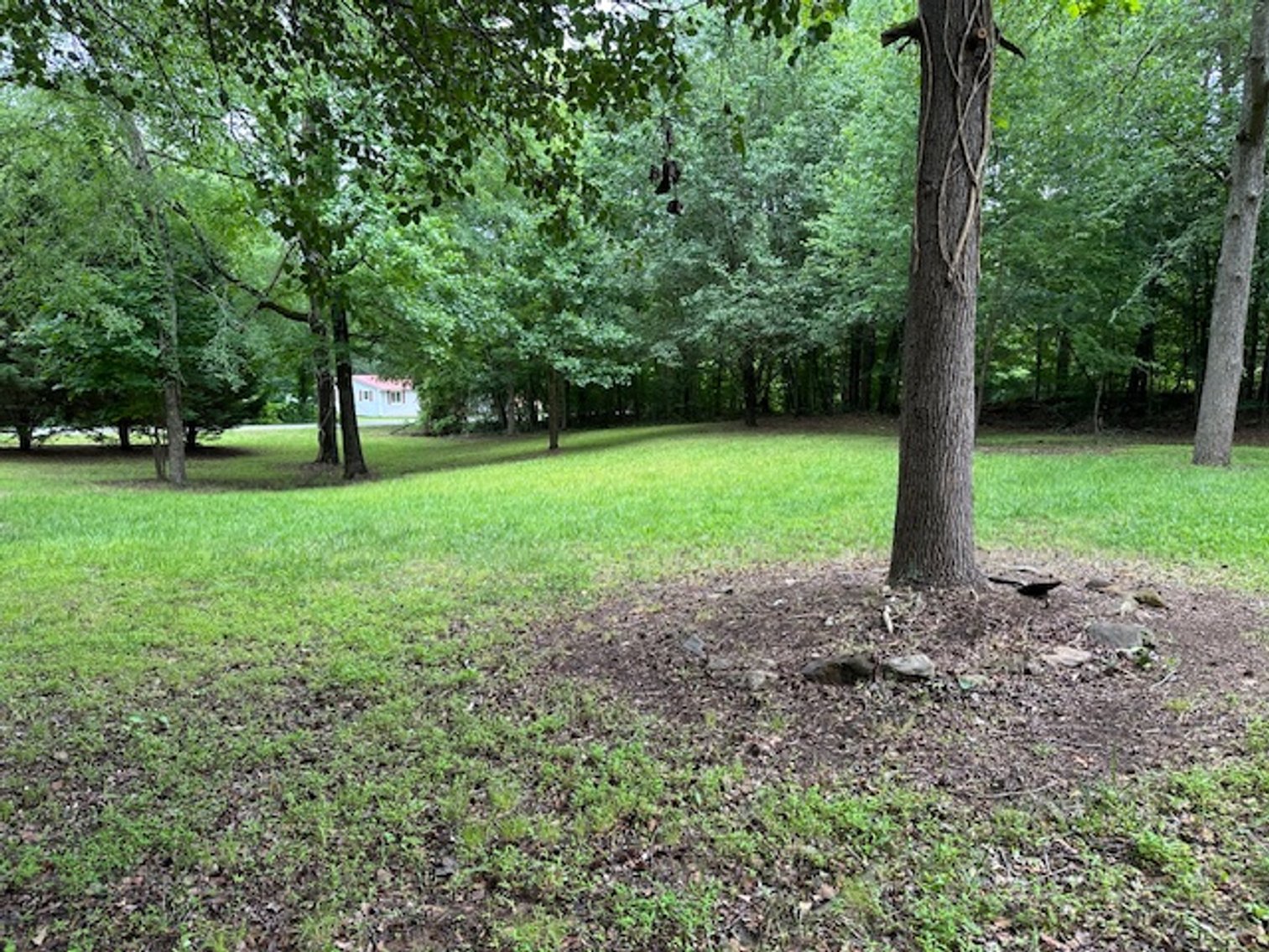 Image for 318 Saddlebrook Drive, Summerfield, NC