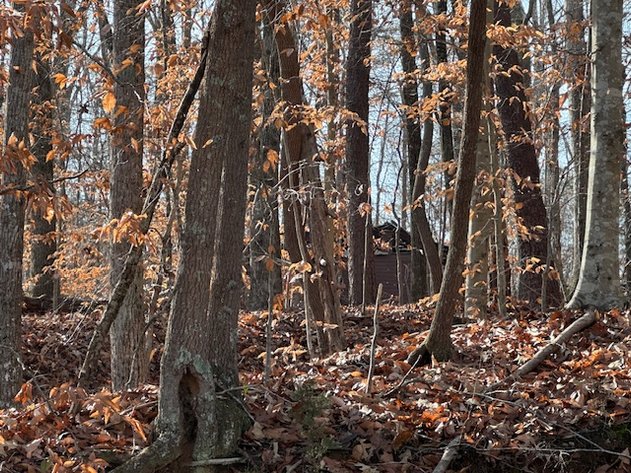 1590 Wray Rd., Stoneville, NC