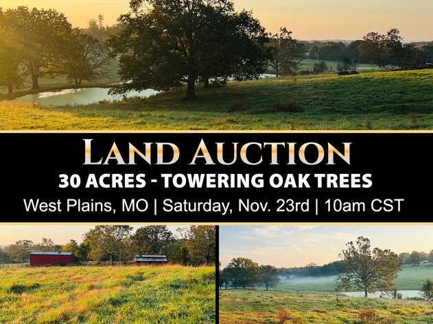 Image for Howell County Land Auction