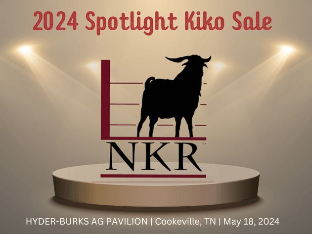 Image for 2024 | NKR Spotlight Sale