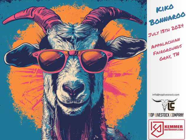 Image for 2024 | Kiko Bonnaroo Sale