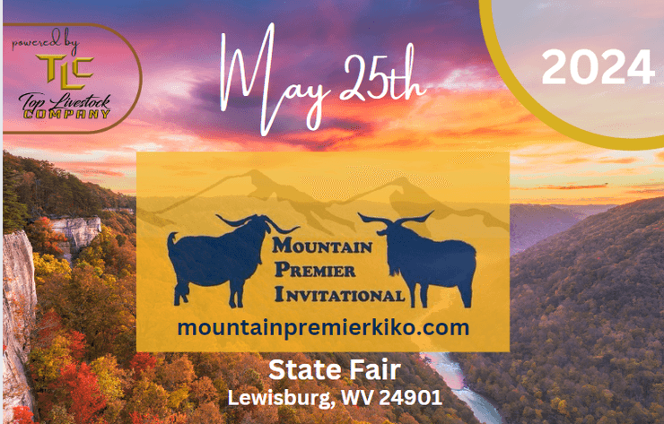 Image for 2024 | MPI Kiko Sale