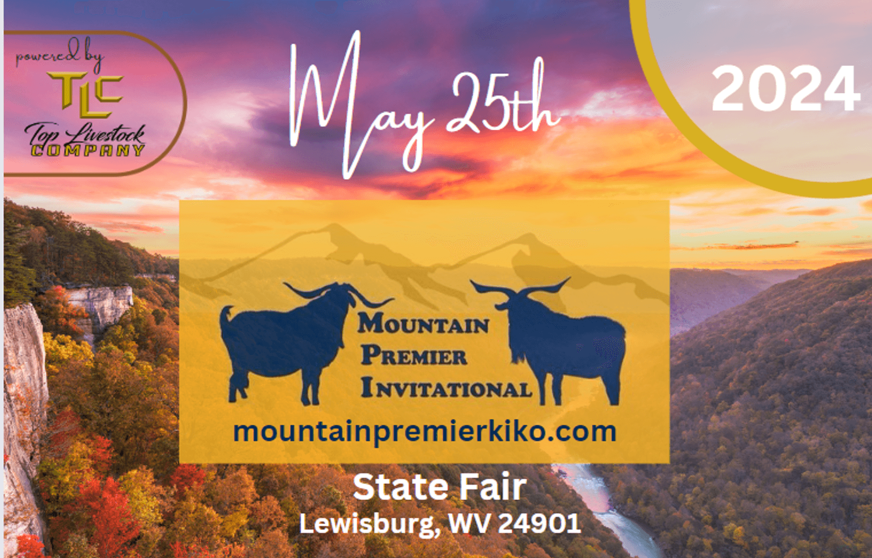 Image for 2024 | MPI Kiko Sale