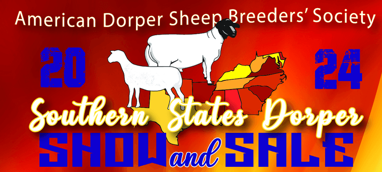 Image for 2024 | Southern State Dorper Sale