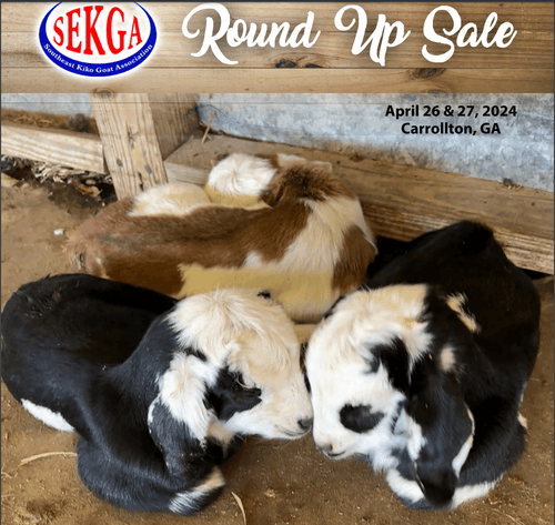 Image for 2024 SEKGA- Spring Sale