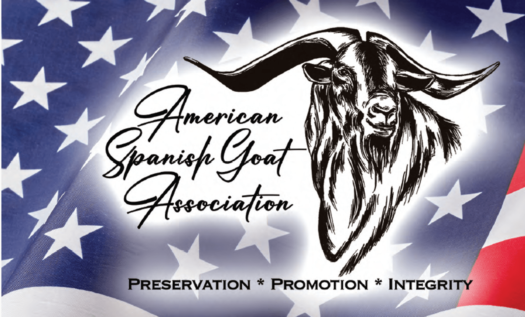 Image for 2024 | ASGA- Premiere Sale