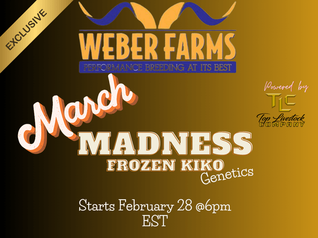 Image for 2025 | Weber Farms- March Madness