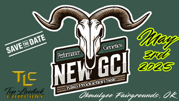 Image for 2025 | New Green Country | Kiko Production Sale