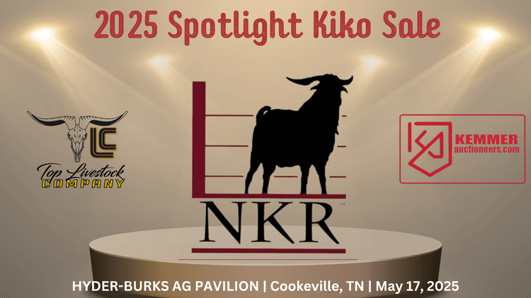 Image for 2025 | NKR Spotlight Sale