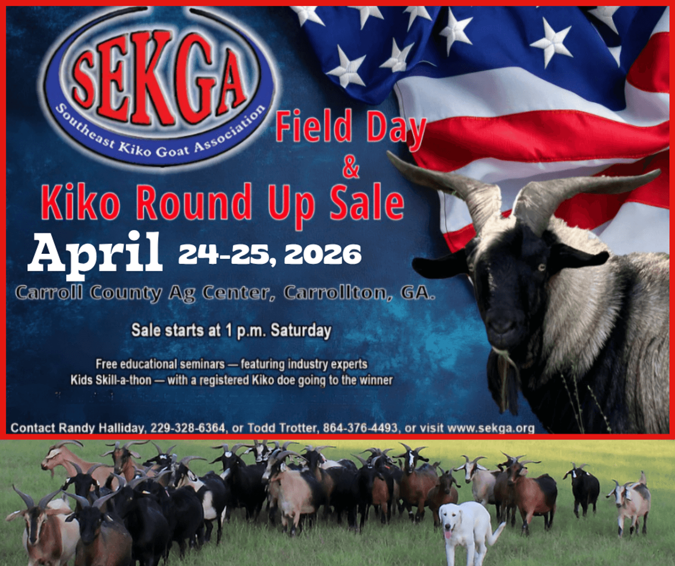 Image for 2026 | SEKGA Sale