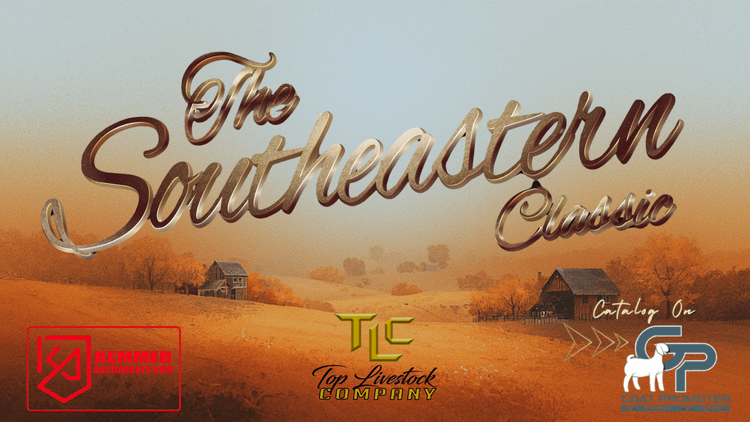 Image for 2026 | Southeastern Classic Sale