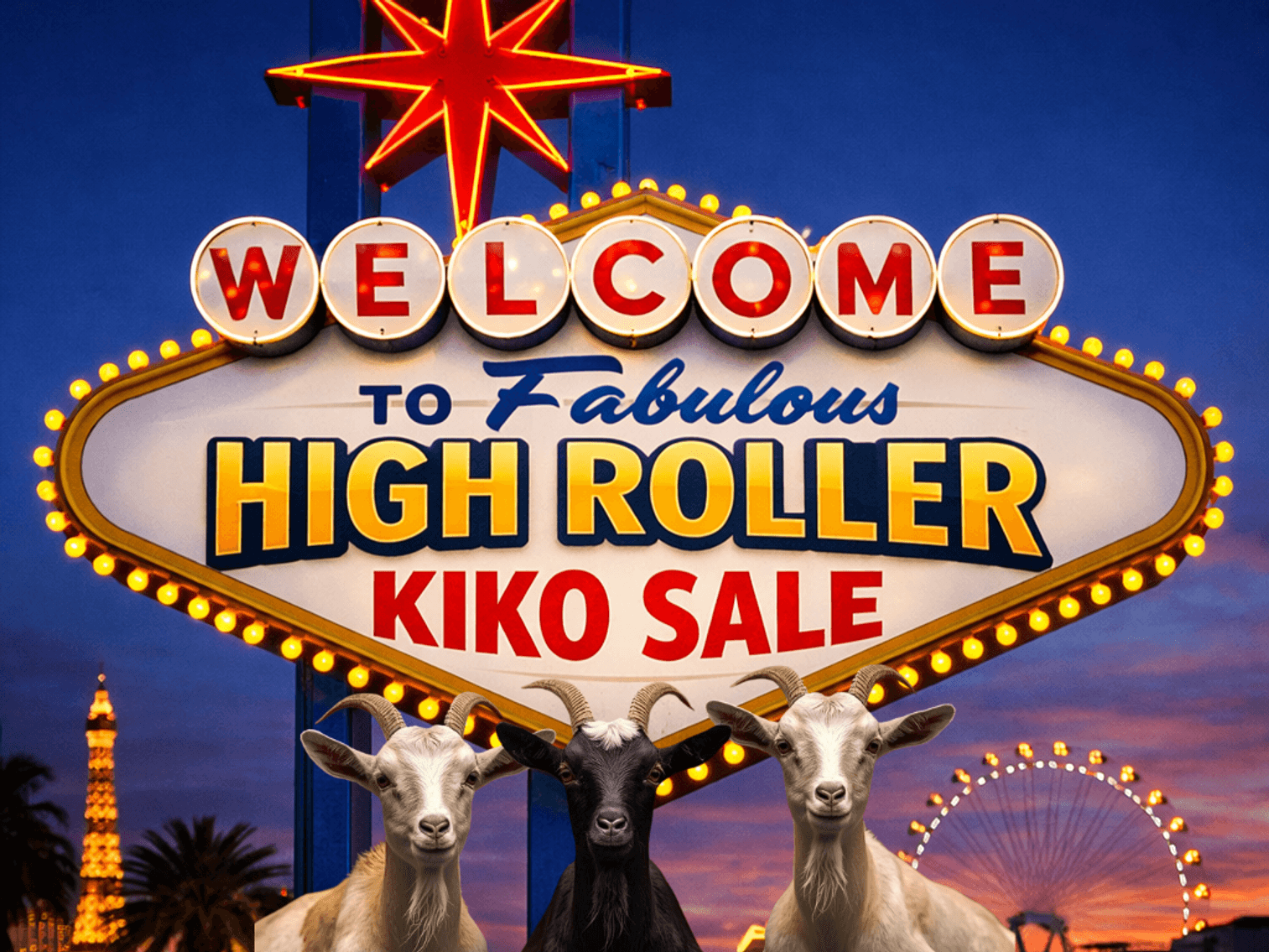 Image for 2026 | High Roller Kiko Sale