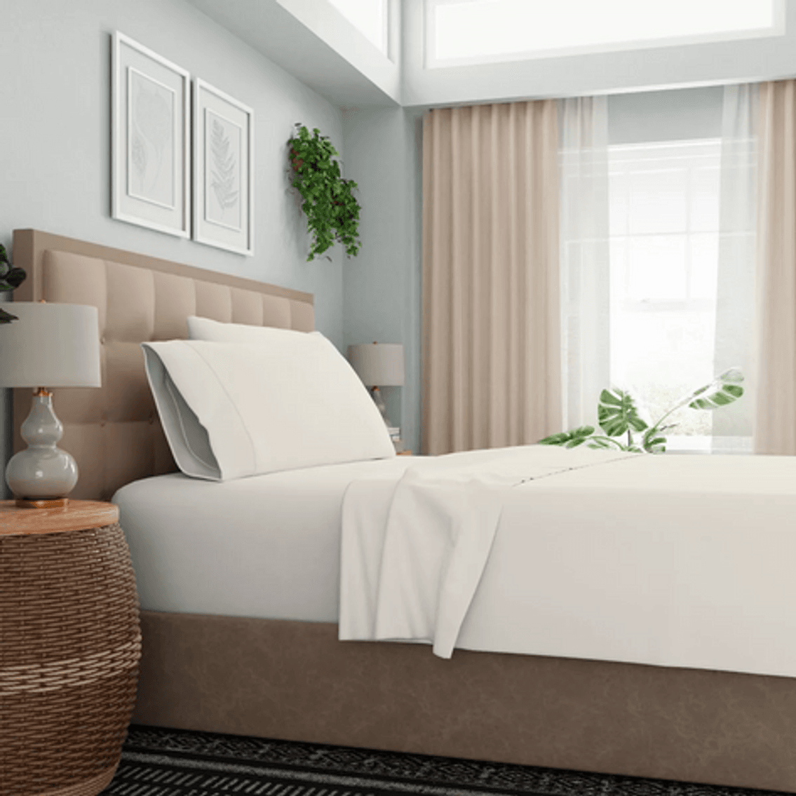 Image for Auction #113