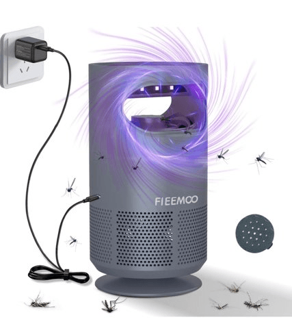 Image for Auction #161