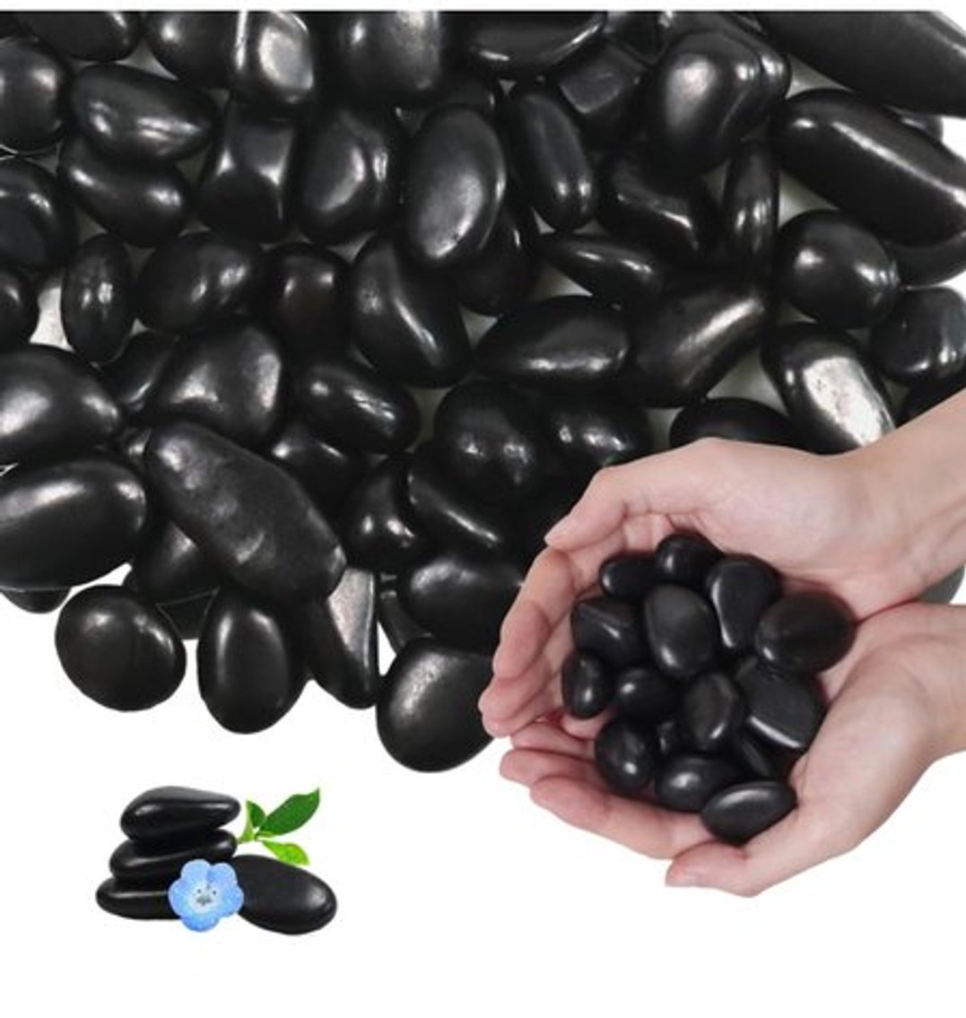 Image for Auction #162