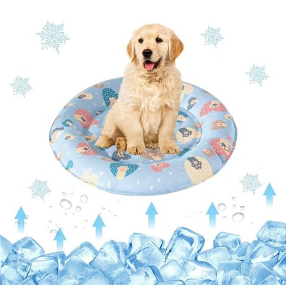 Image for Auction #162