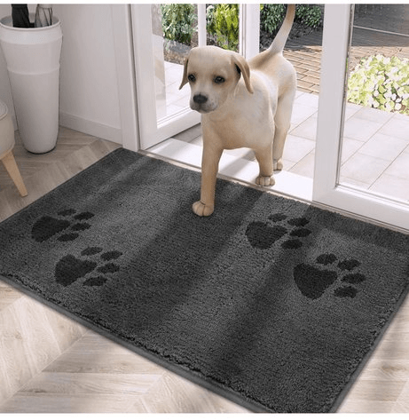 Image for Auction #163