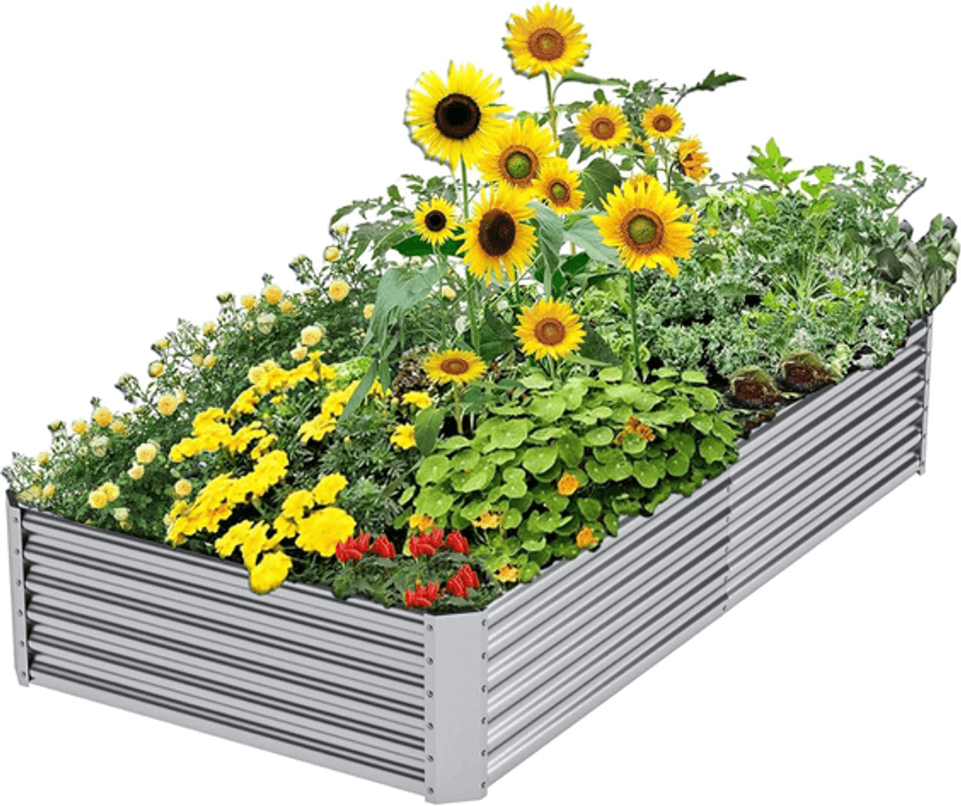 Image for Auction #193