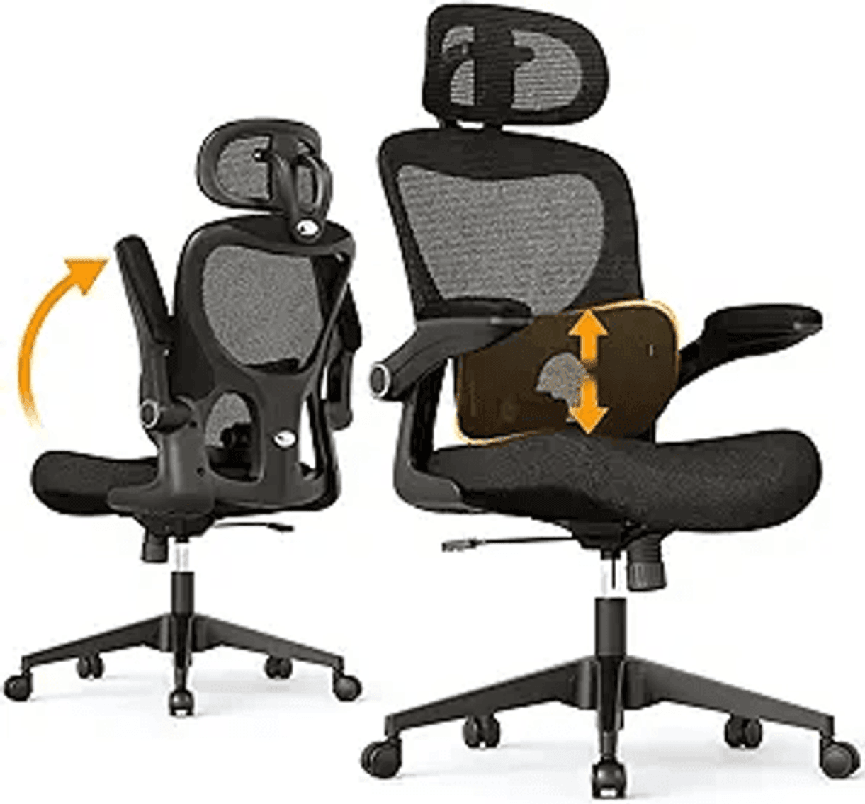 Image for Auction #195