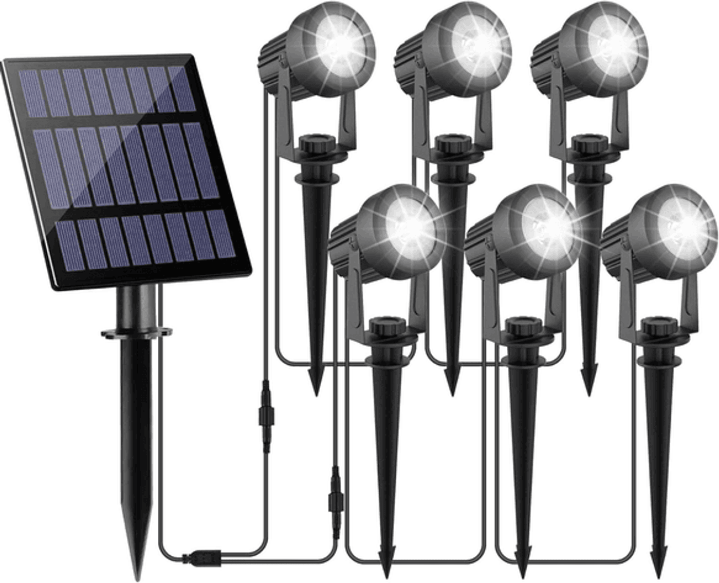 Image for Auction #206