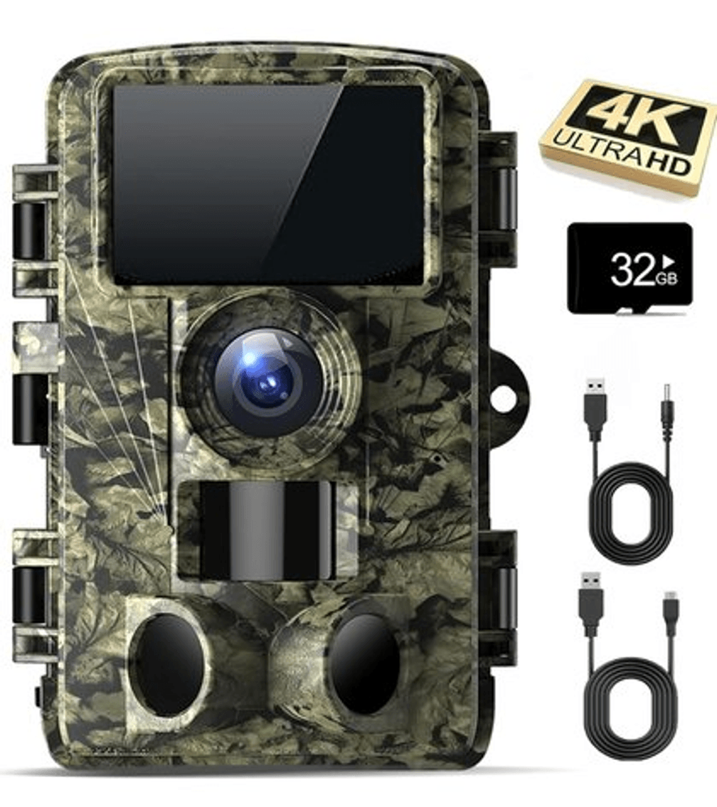 Image for Auction #213