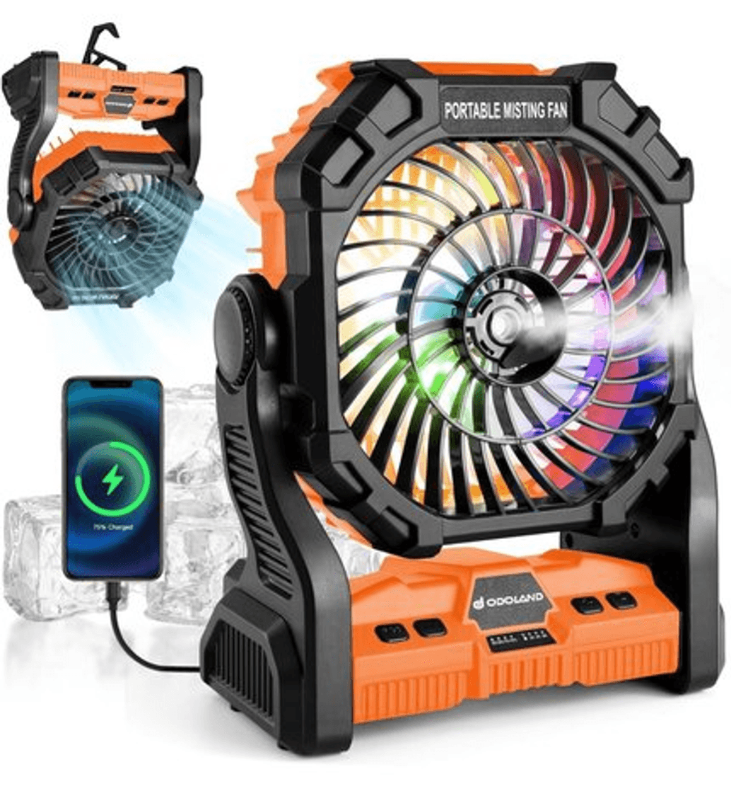 Image for Auction #213