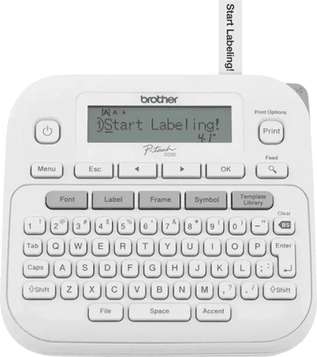 Image for Auction #213