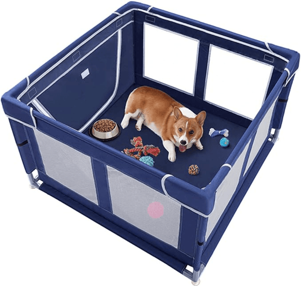 Image for Auction #218