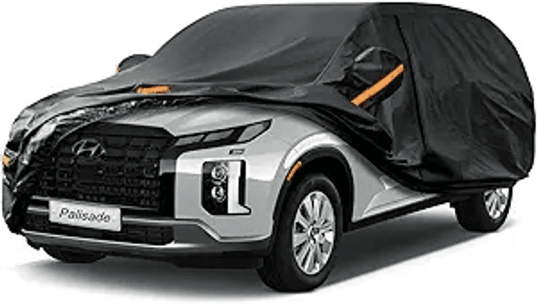 Image for Auction #220