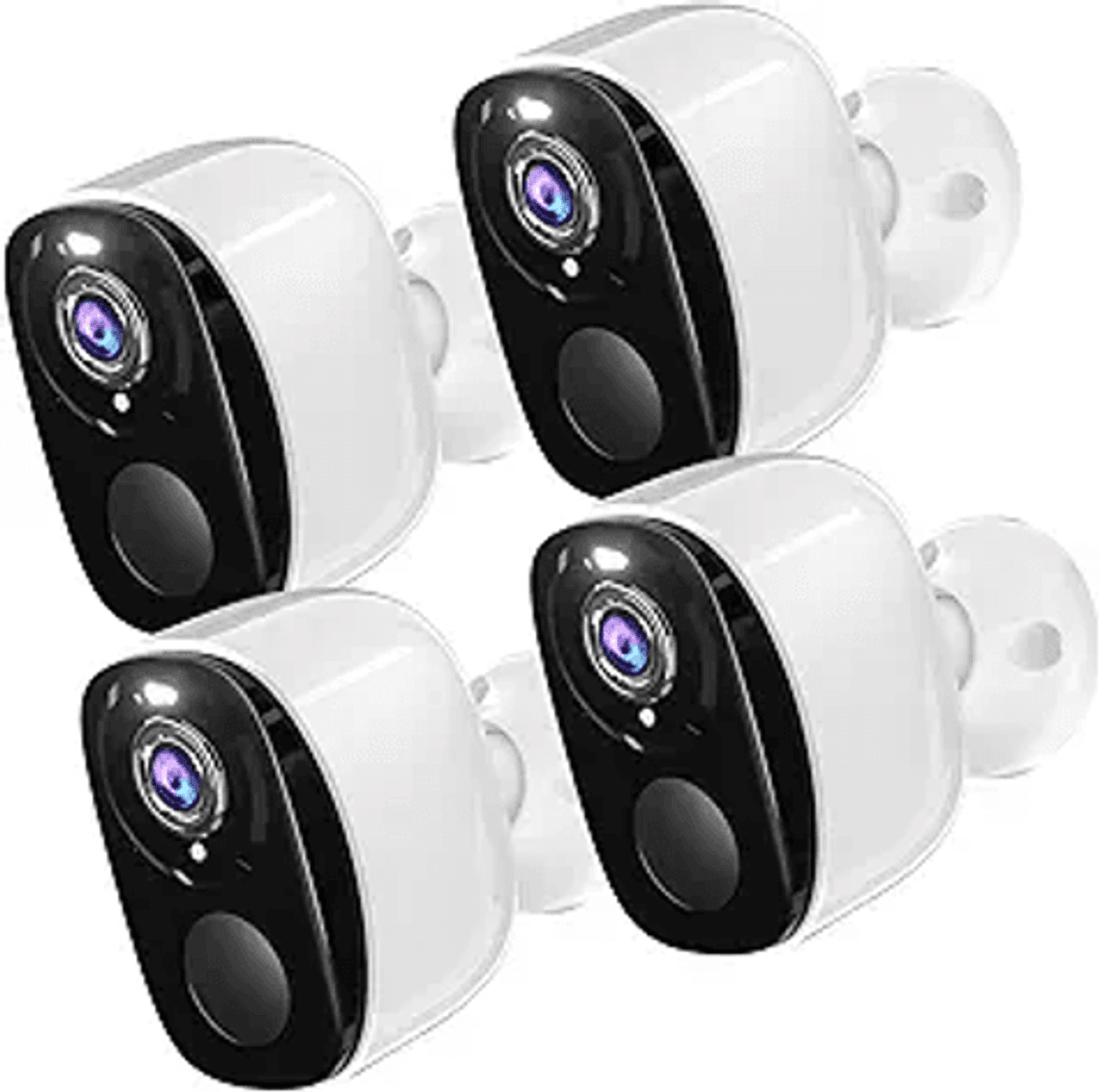 Image for Auction #239