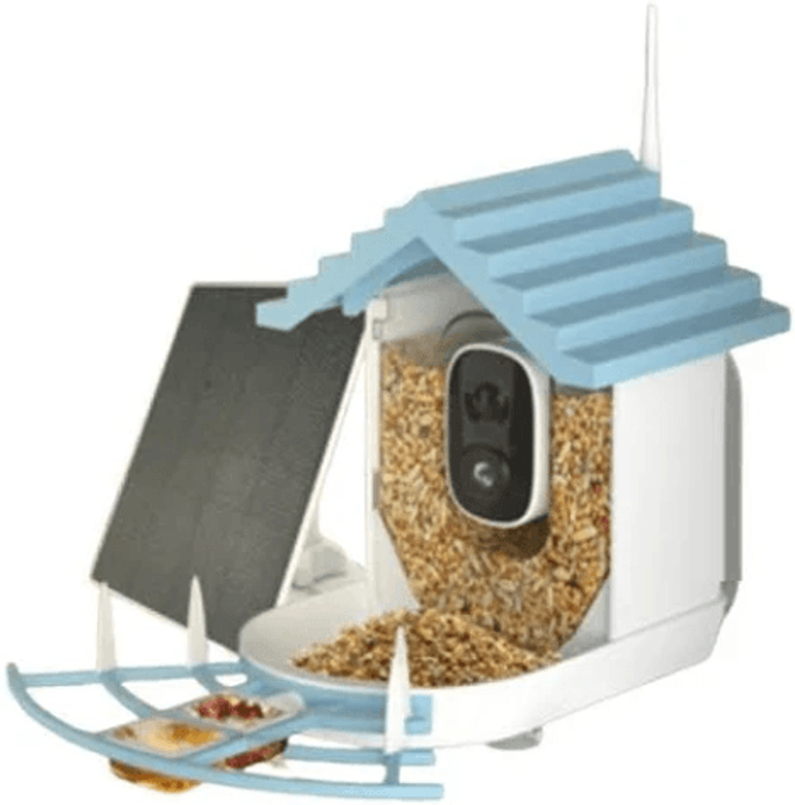 Image for Auction #244