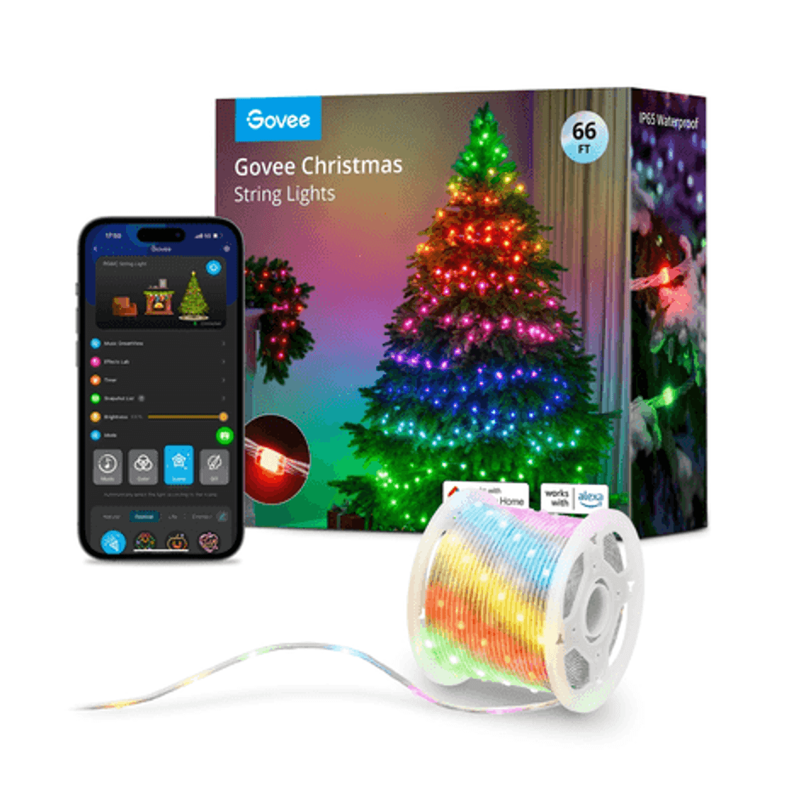 Image for Auction #245