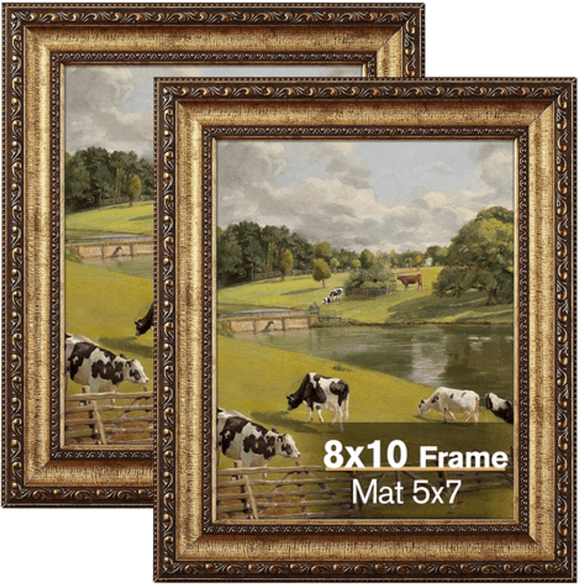 Image for Auction #251