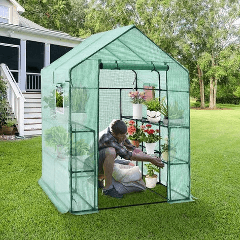 Image for Auction #259