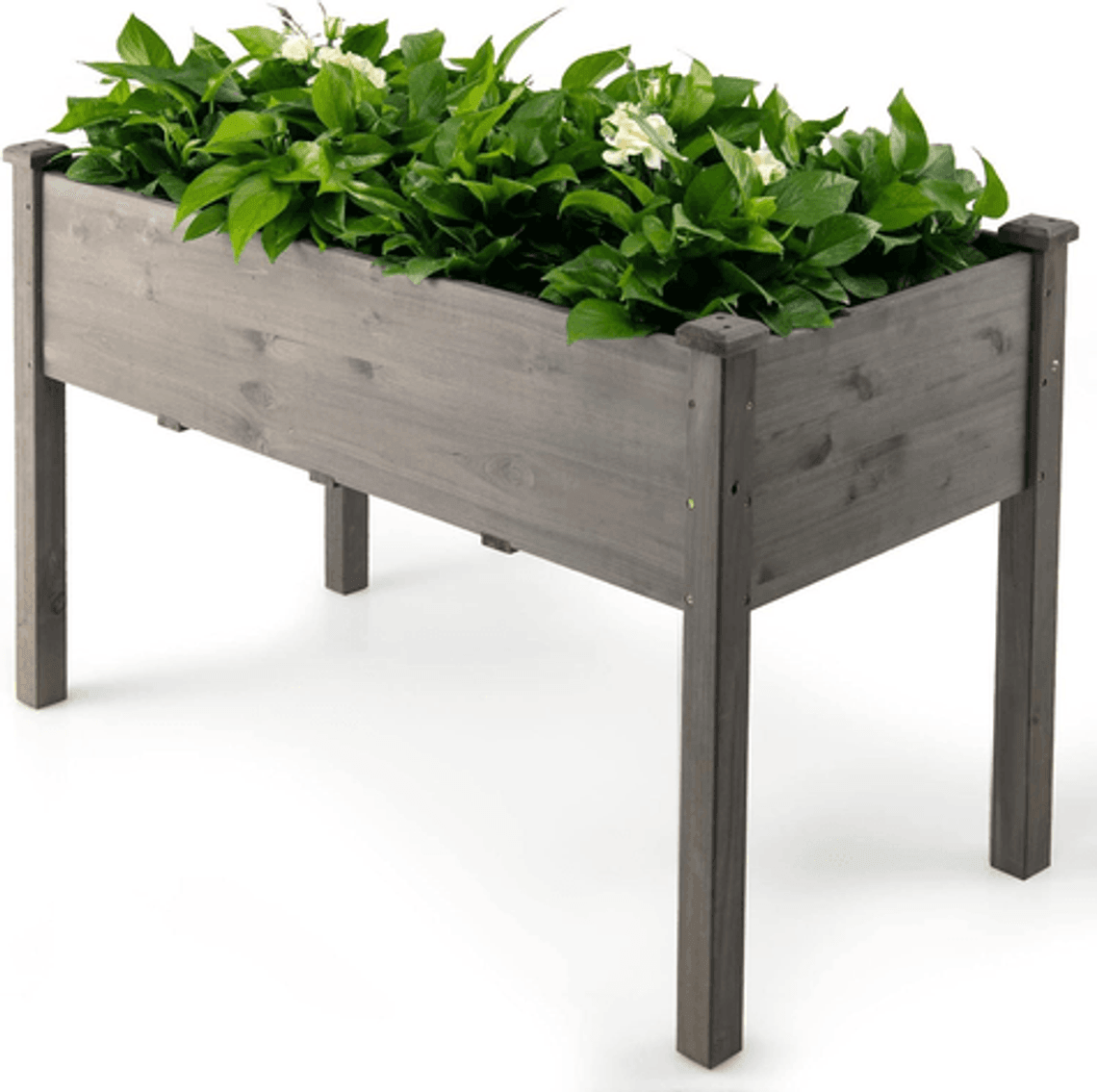 Image for Auction #280