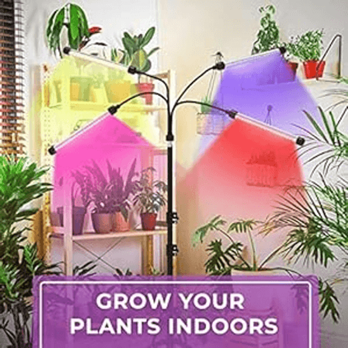 Image for Auction #293