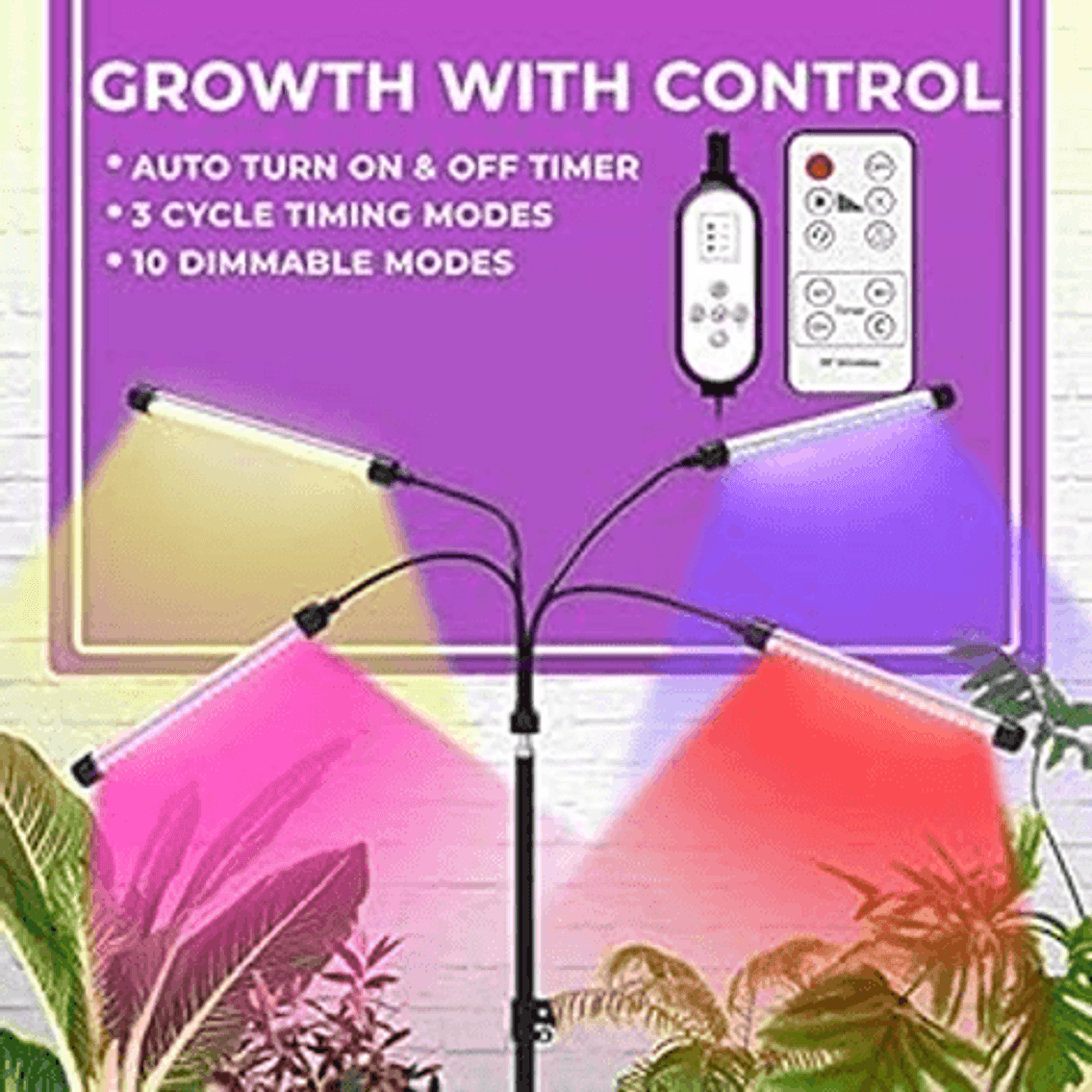 Image for Auction #294