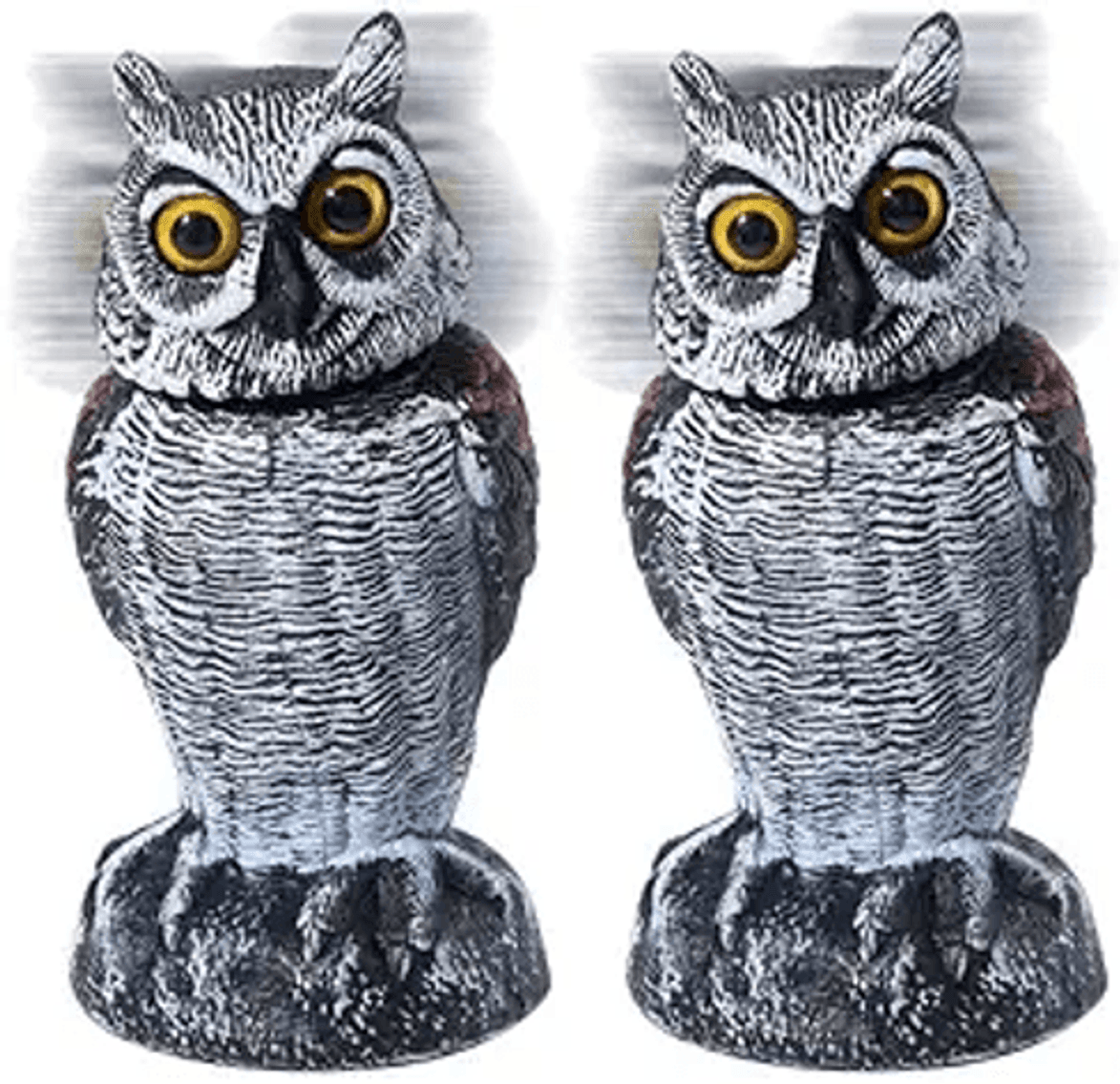 Image for Auction #313