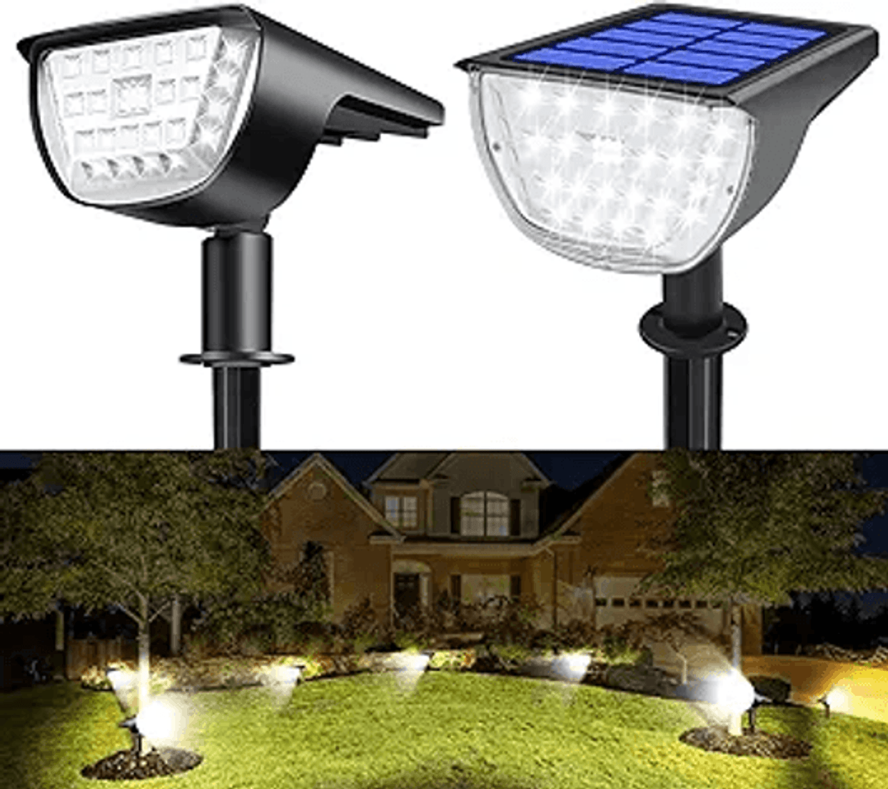 Image for Auction #318