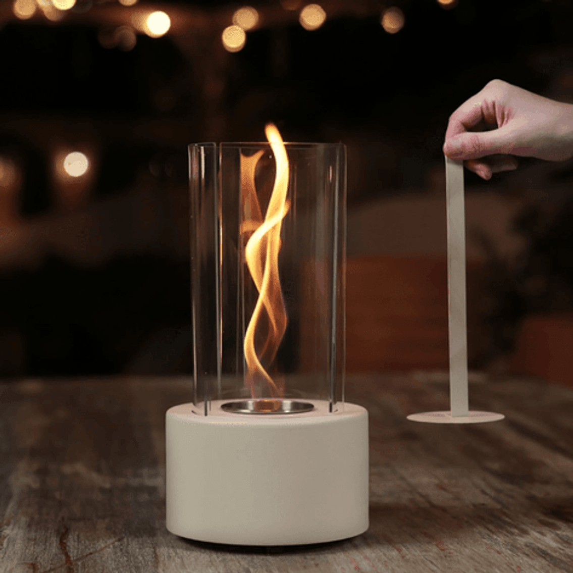 Image for Auction #319