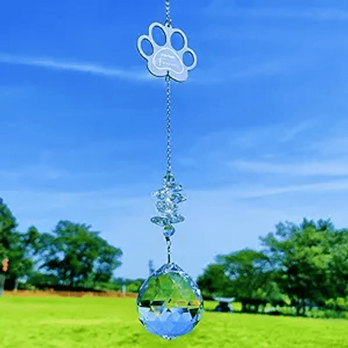 Image for Auction #319