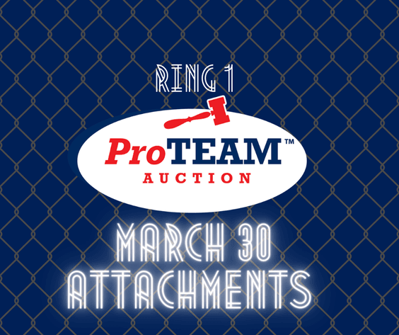 Image for Ring 1- 14th Annual Spring Absolute Auction