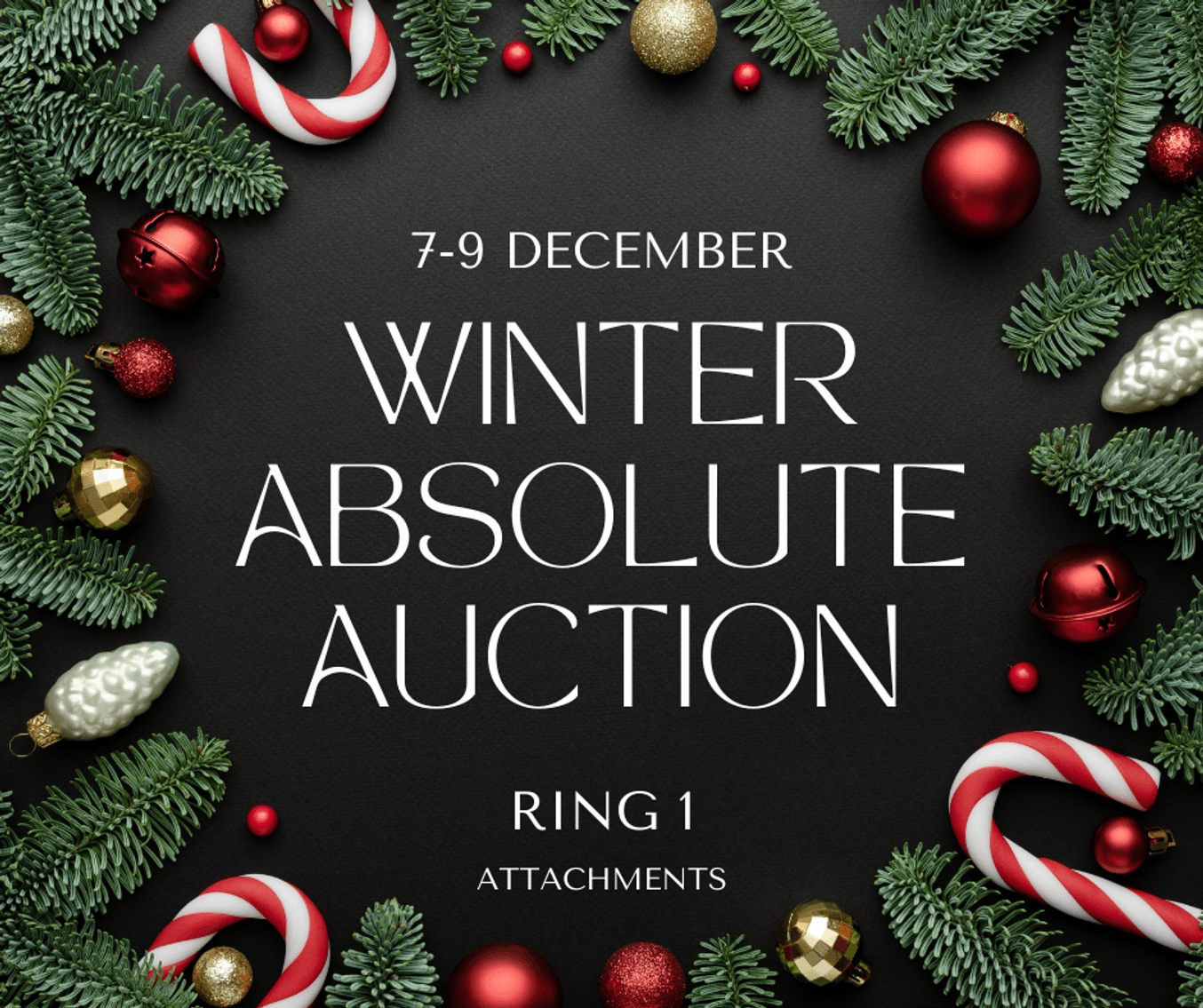 Image for RING 1 - 15th ANNUAL WINTER ABSOLUTE AUCTION