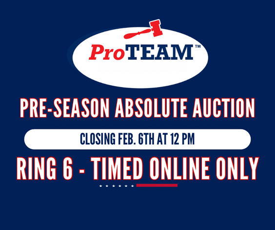 Image for RING 6- ONLINE ONLY MISC. ROW (TIMED AUCTION)