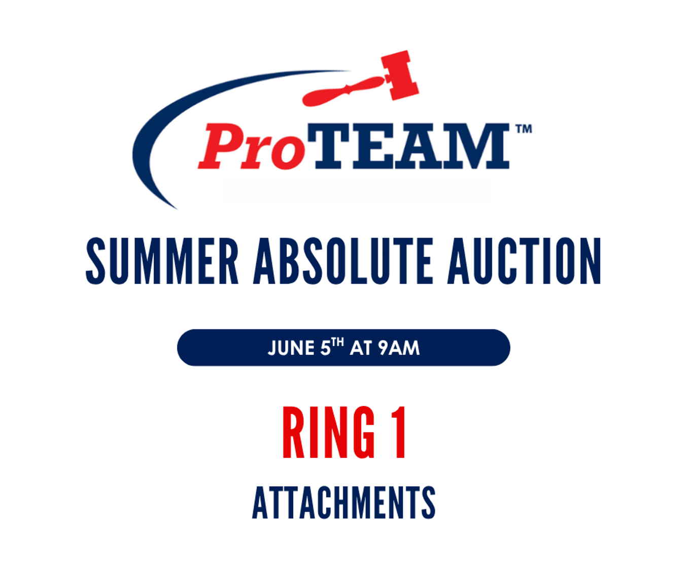 Image for RING 1 - 16th ANNUAL SUMMER ABSOLUTE AUCTION