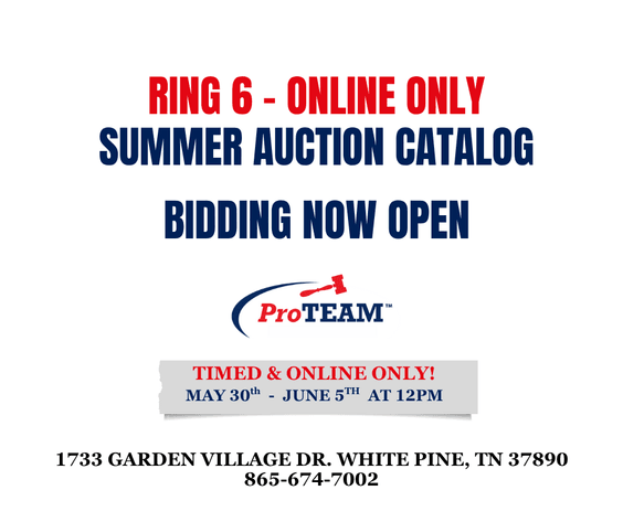 Image for RING 6 - 16th ANNUAL SUMMER ABSOLUTE AUCTION